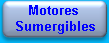 Motores_Sumergibles